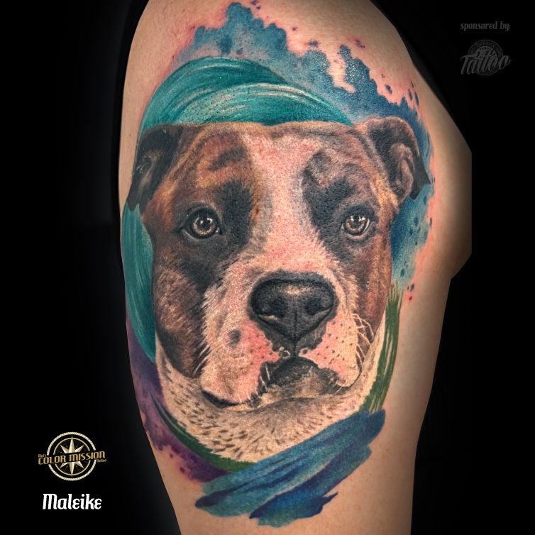 Amstaff_Diego_tattoo_Quadrat_by_Maleike Kopie