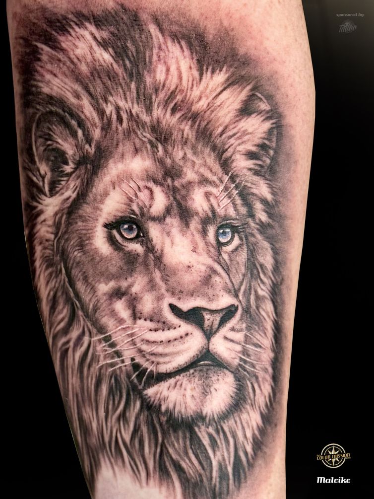Lion_tattoo_by_Maleike Kopie