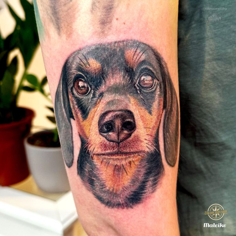 Xera_dackel_tattoo_by_Maleike Kopie